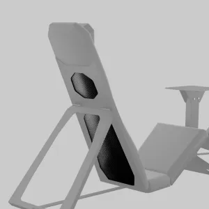 CARBON FIBER BACK [UPGRADE]